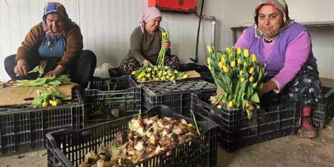 Türkiye’de tek! 2 özel gün için suda üretiliyor: Yıllık üretim 500.000’i buluyor 5